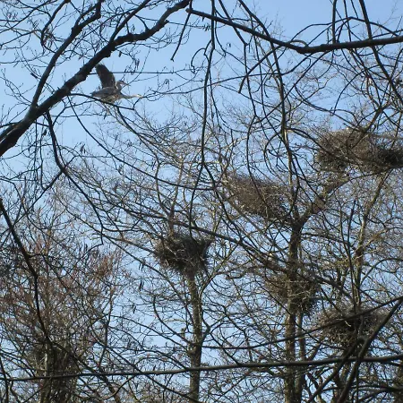 La Fuste Des Garceaux Bed & Breakfast 3*